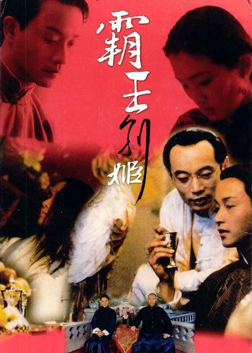 作假丹麦驾照